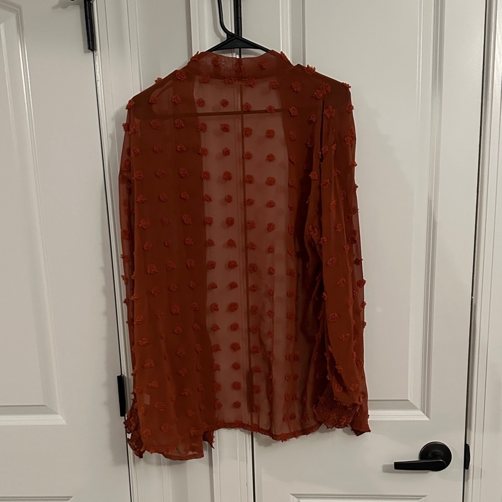 Anna-Kaci Orange Embroidered Sheer Cardigan - Picture 3 of 3